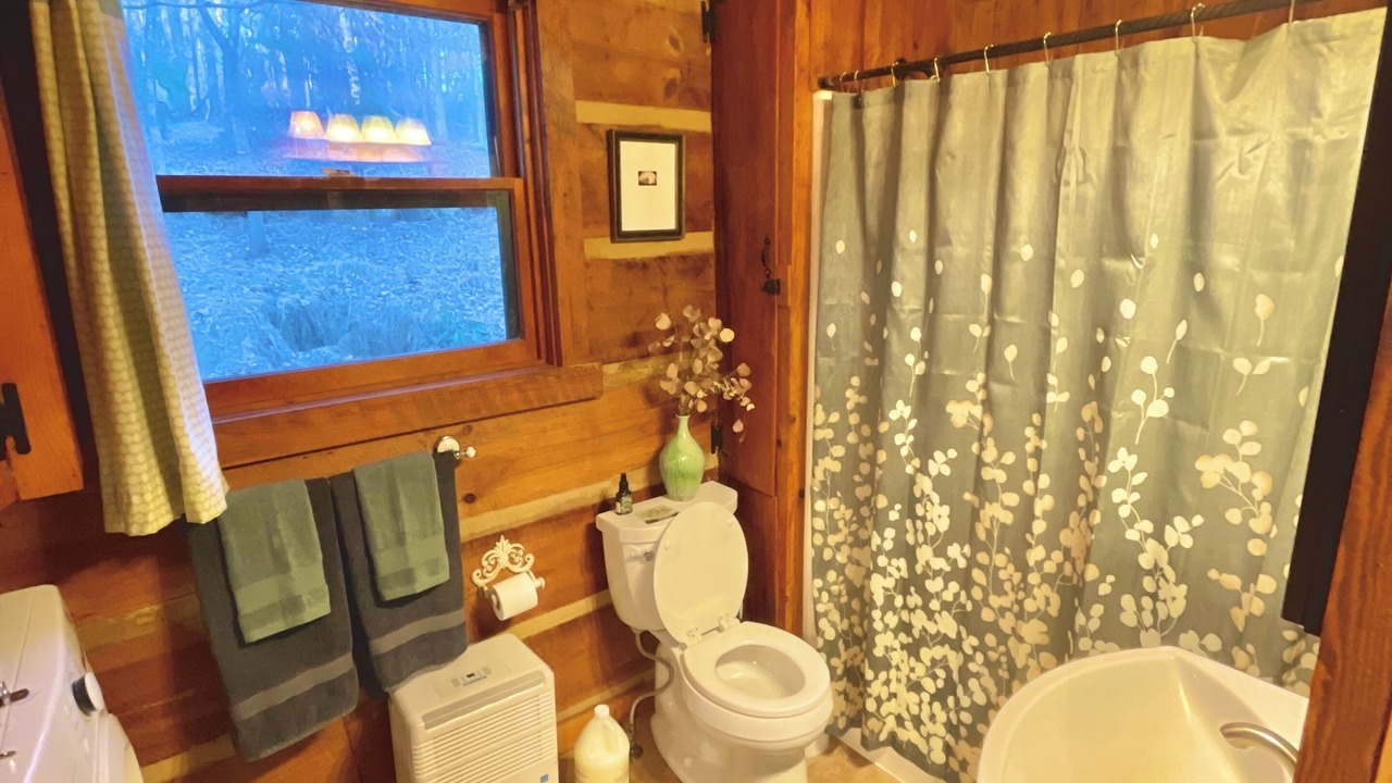 Photo of Bathroom in Horse Shoe