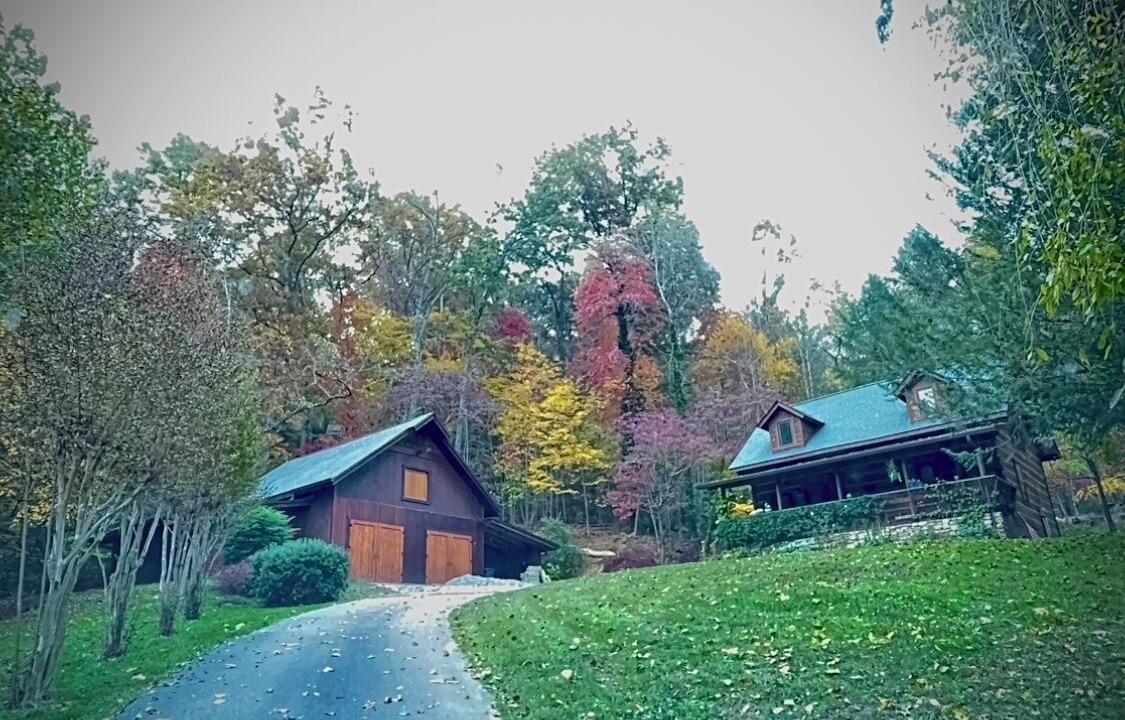 Photo of Outdoor in Horse Shoe