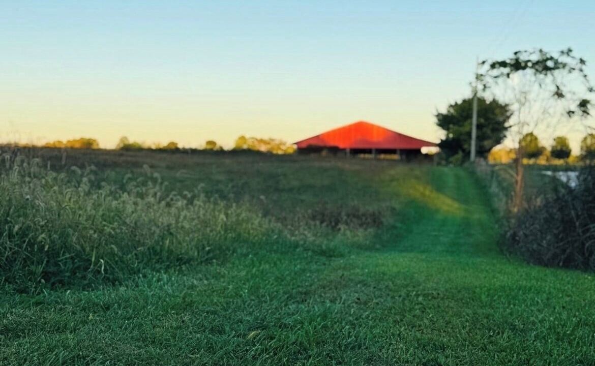Photo of Others in Dabolt