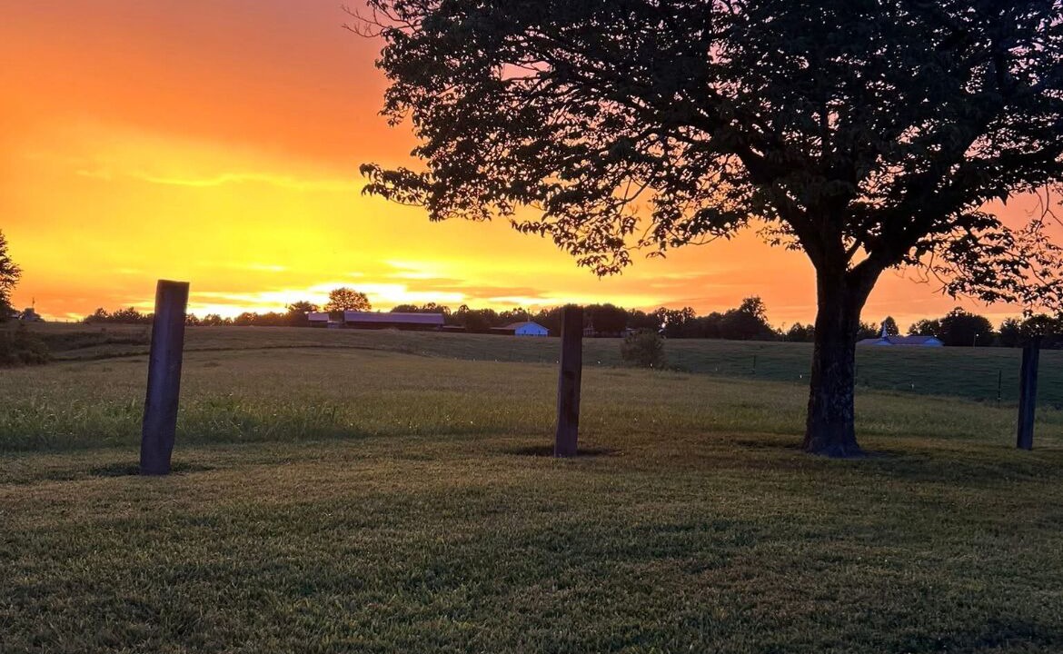 Photo of Others in Dabolt