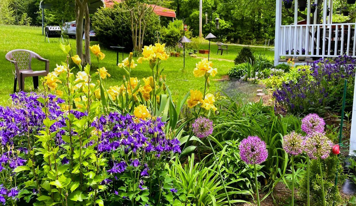 Photo of Outdoor in Hurdle Mills