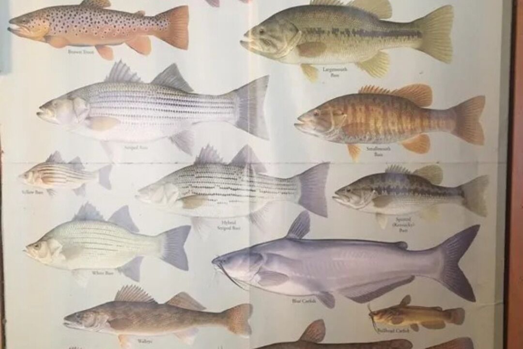 Photo of Others in Burnside