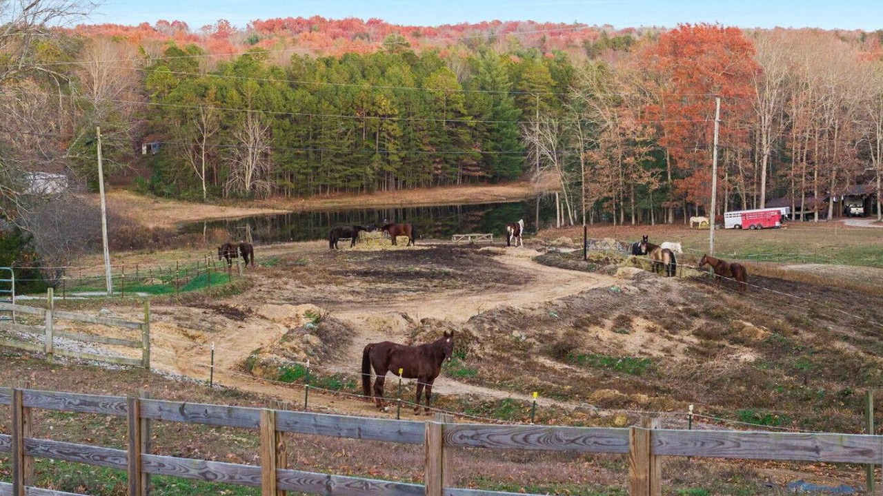 Photo of Others in Jamestown