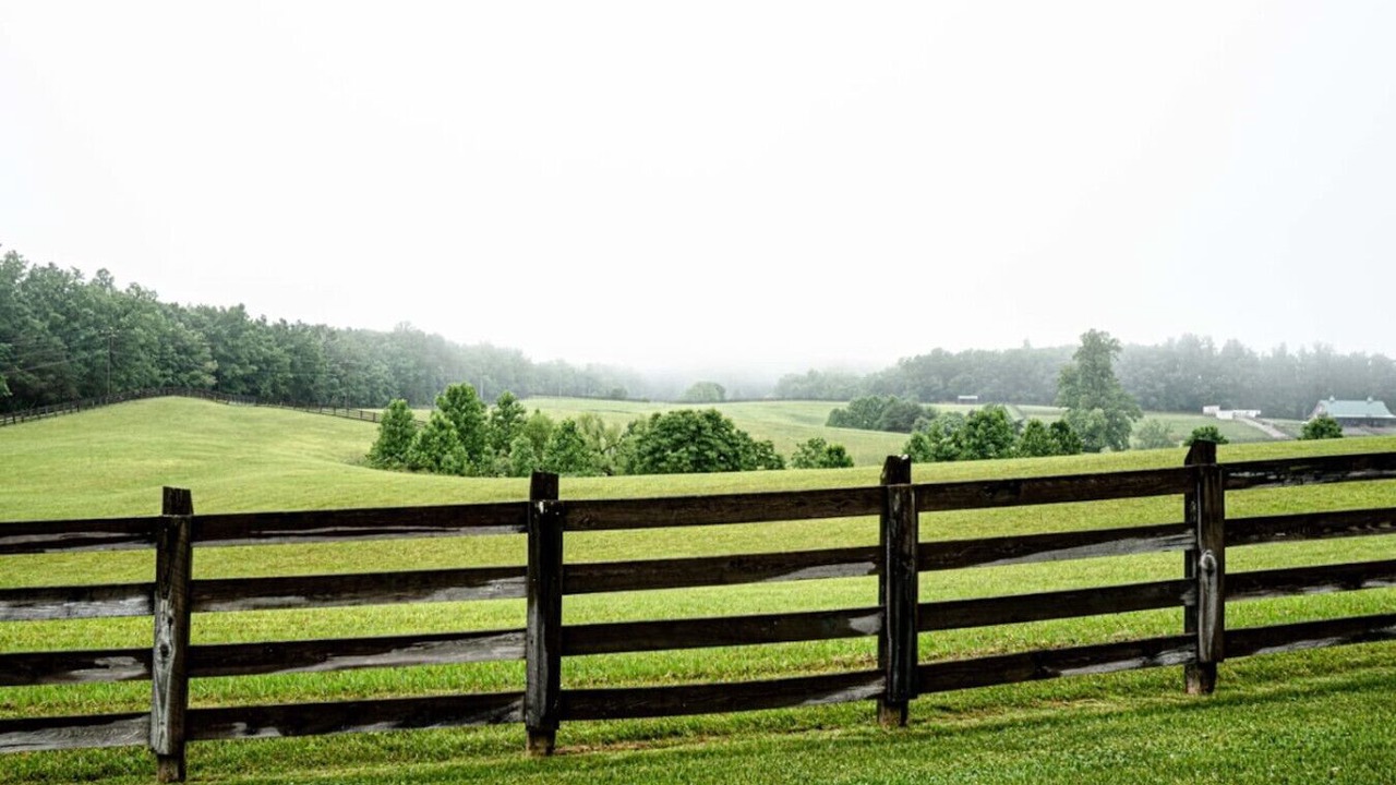 Photo of Others in Jamestown