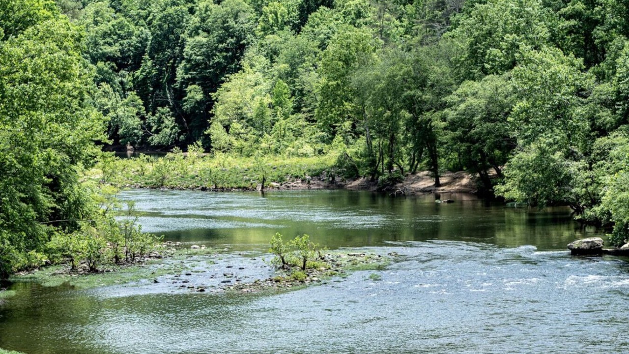 Photo of Others in Jamestown