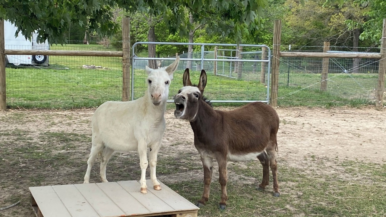 Photo of Others in Benton