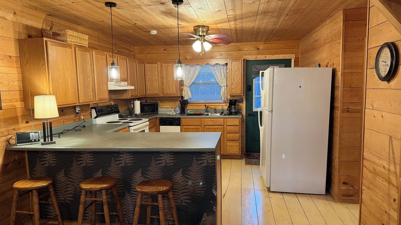 Photo of Kitchen in Wellington