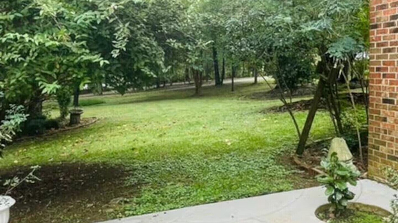 Photo of Outdoor in High Point