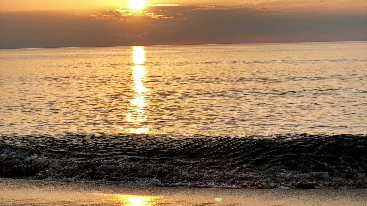 Photo of Others in Northeast Virginia Beach
