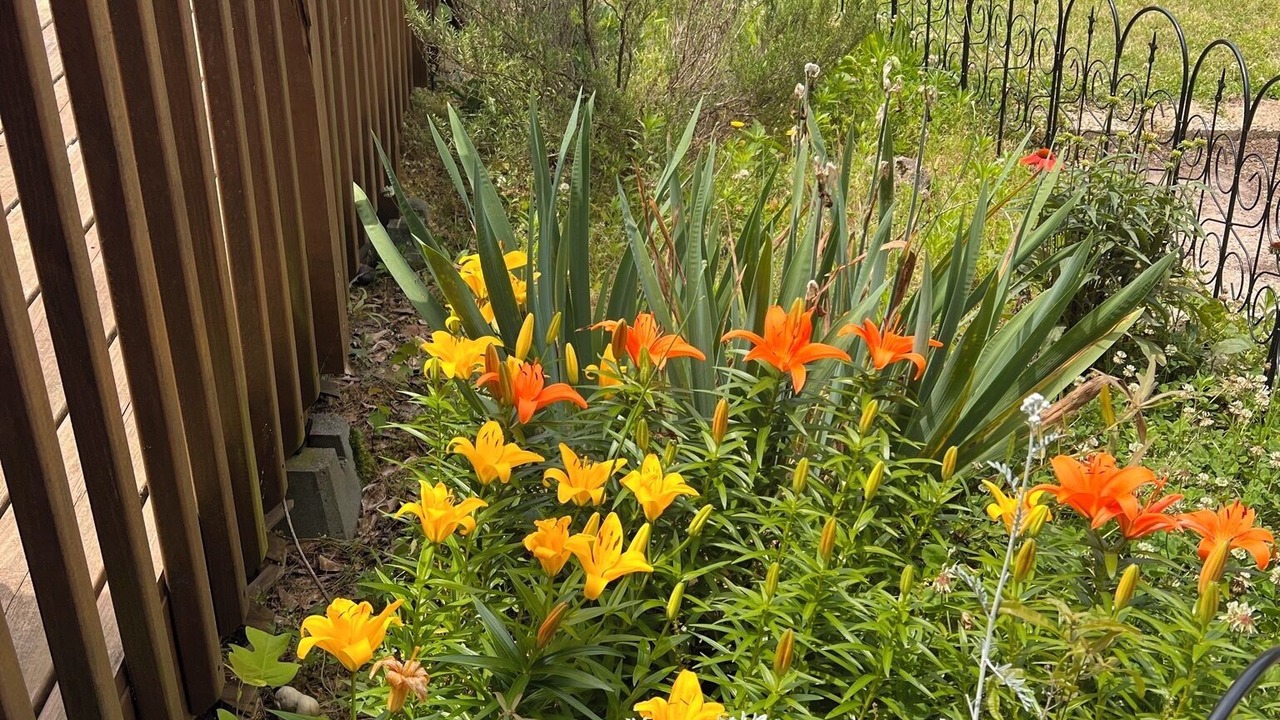 Photo of Outdoor in Travelers Rest