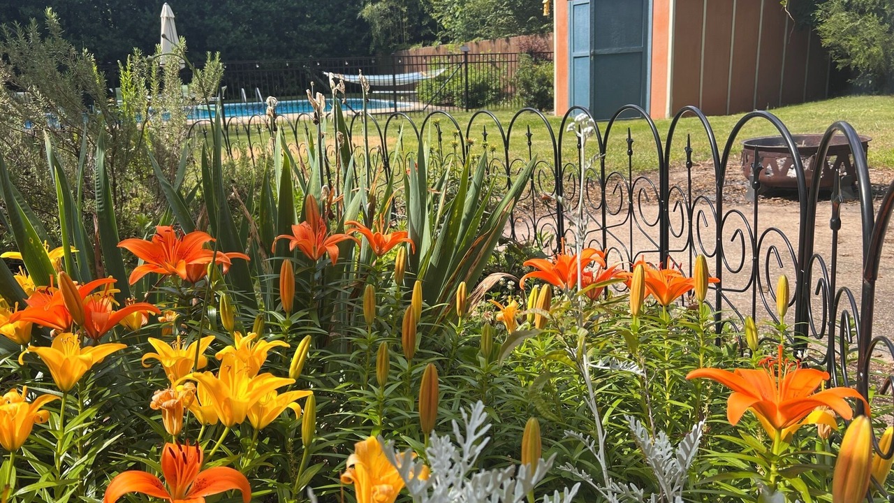 Photo of Outdoor in Travelers Rest