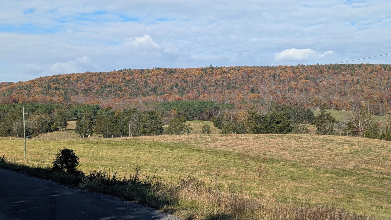 Photo of Others in Fort Valley