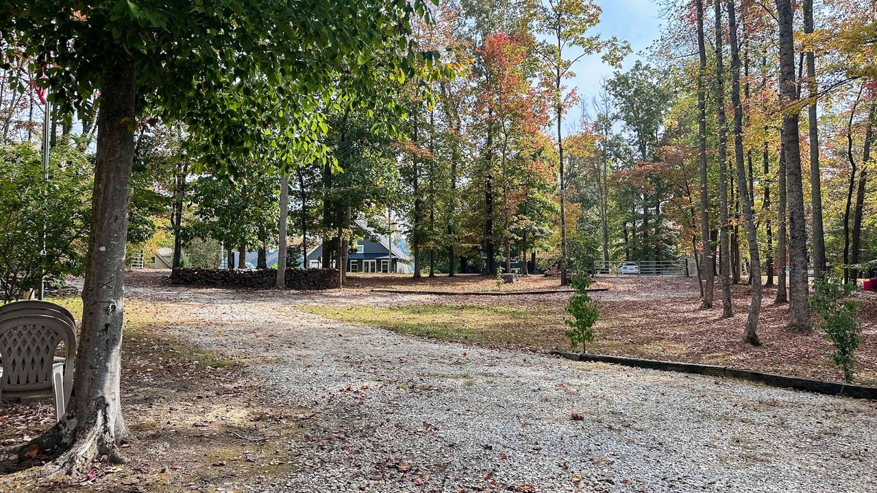 Photo of Outdoor in Sharps Chapel