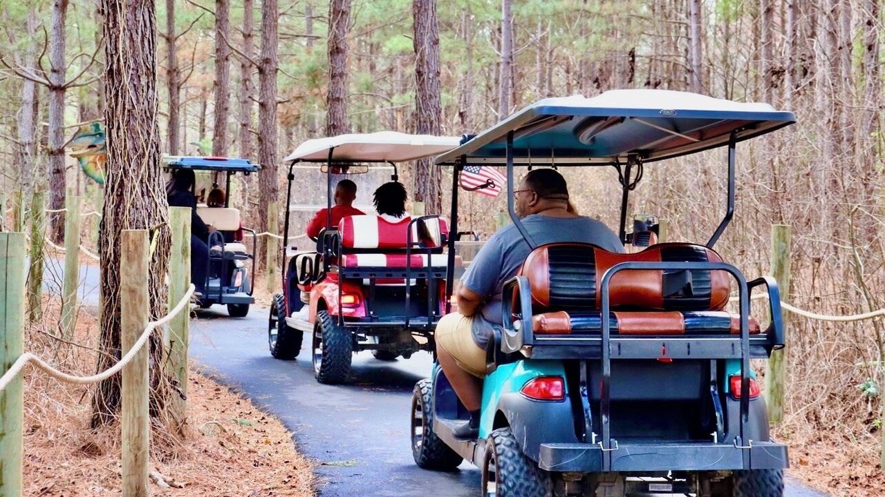 Photo of Others in Cape Fear