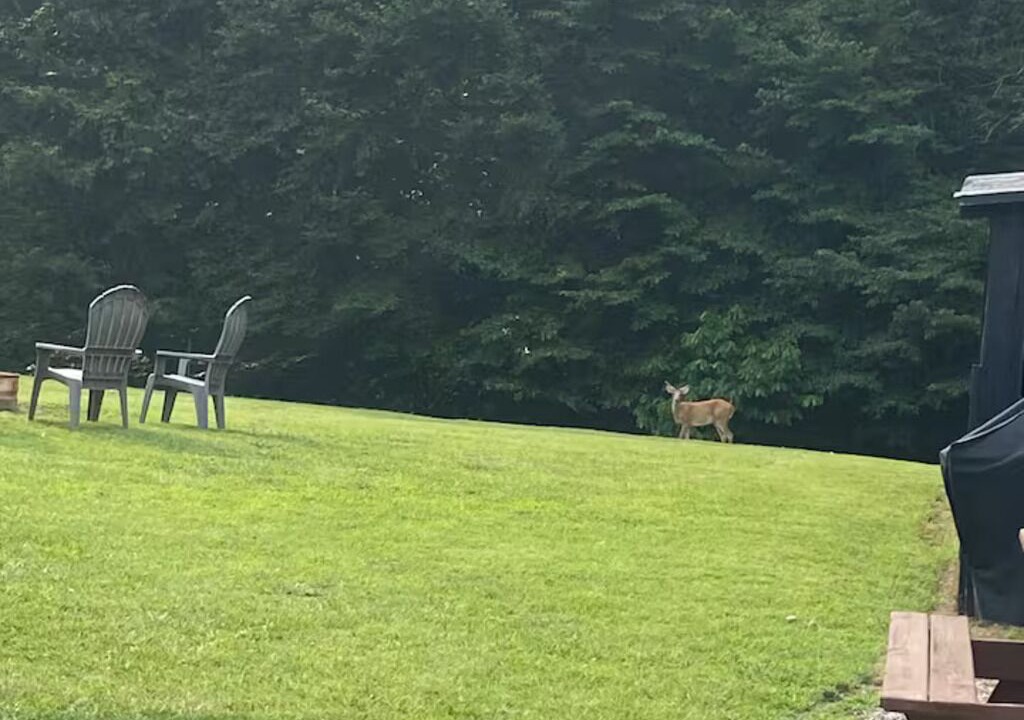 Photo of Outdoor in Monticello
