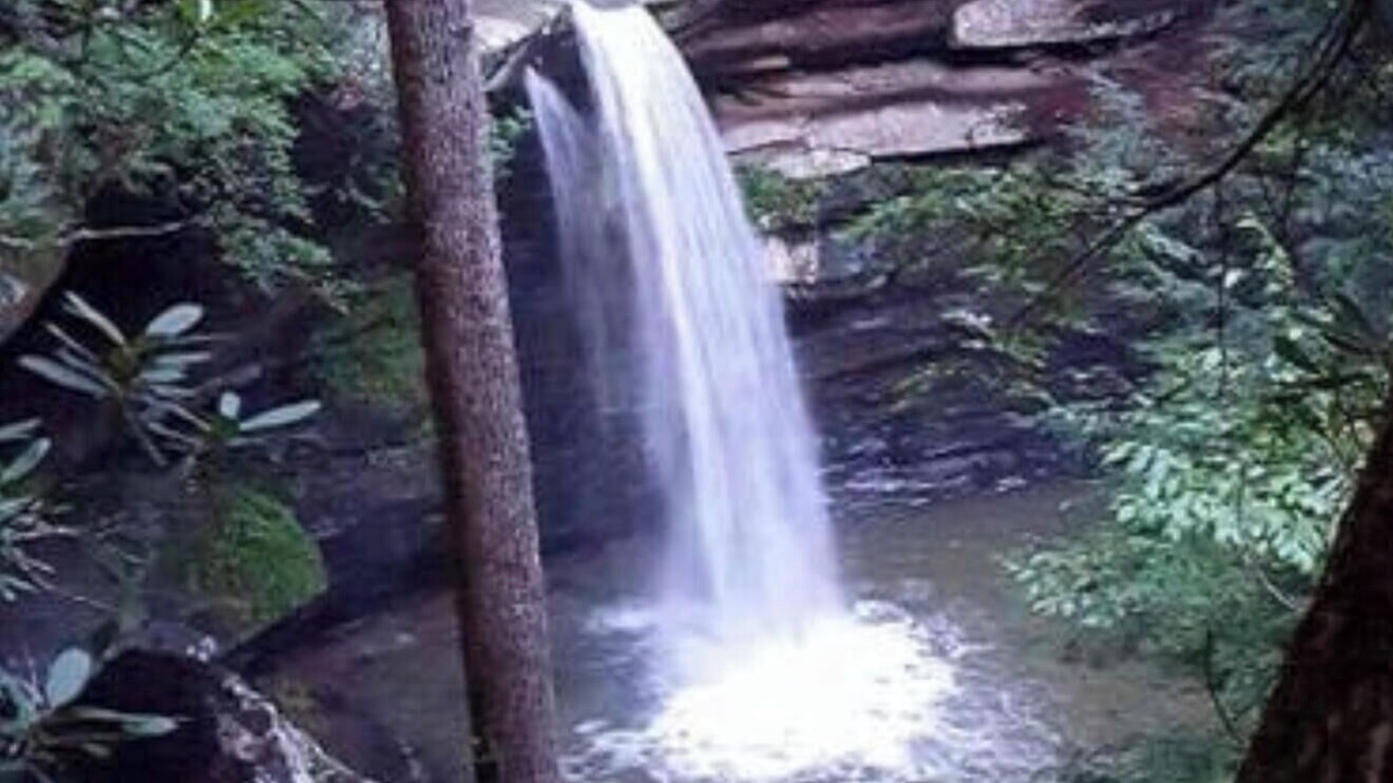 Photo of Others in Dabolt