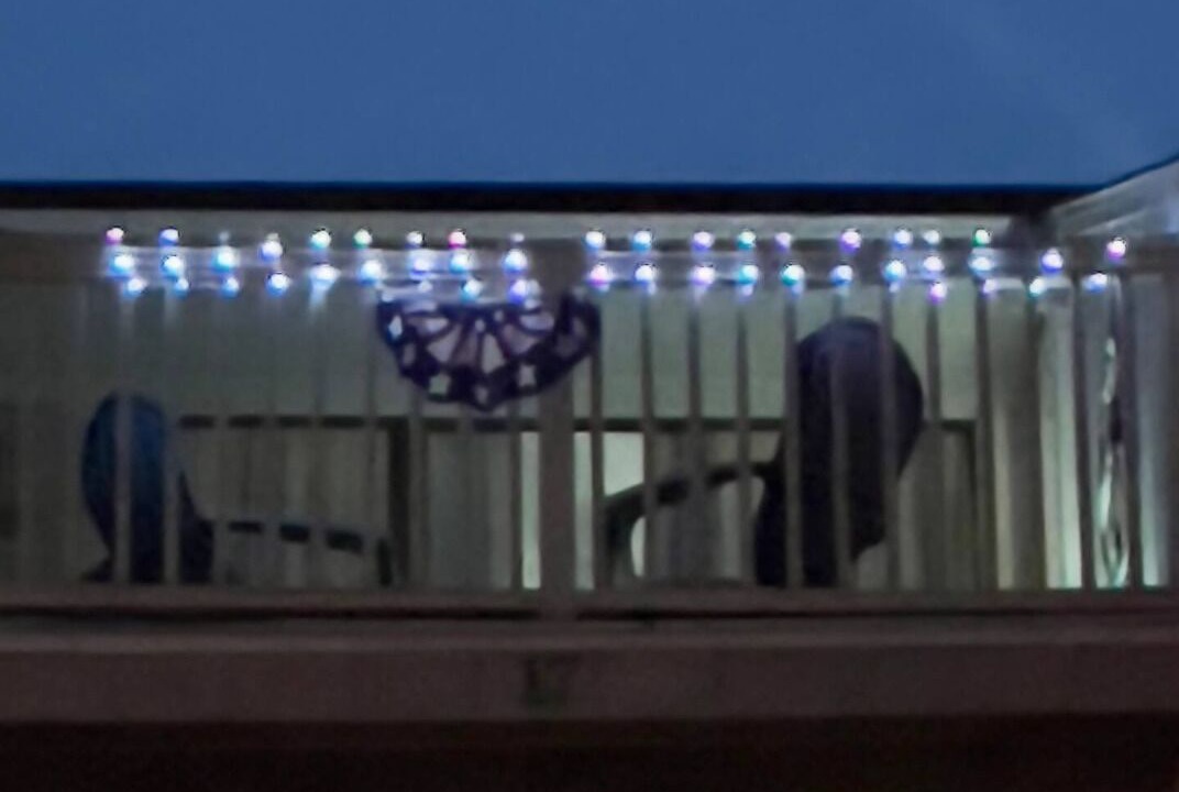 Photo of Others in North Carolina Coast