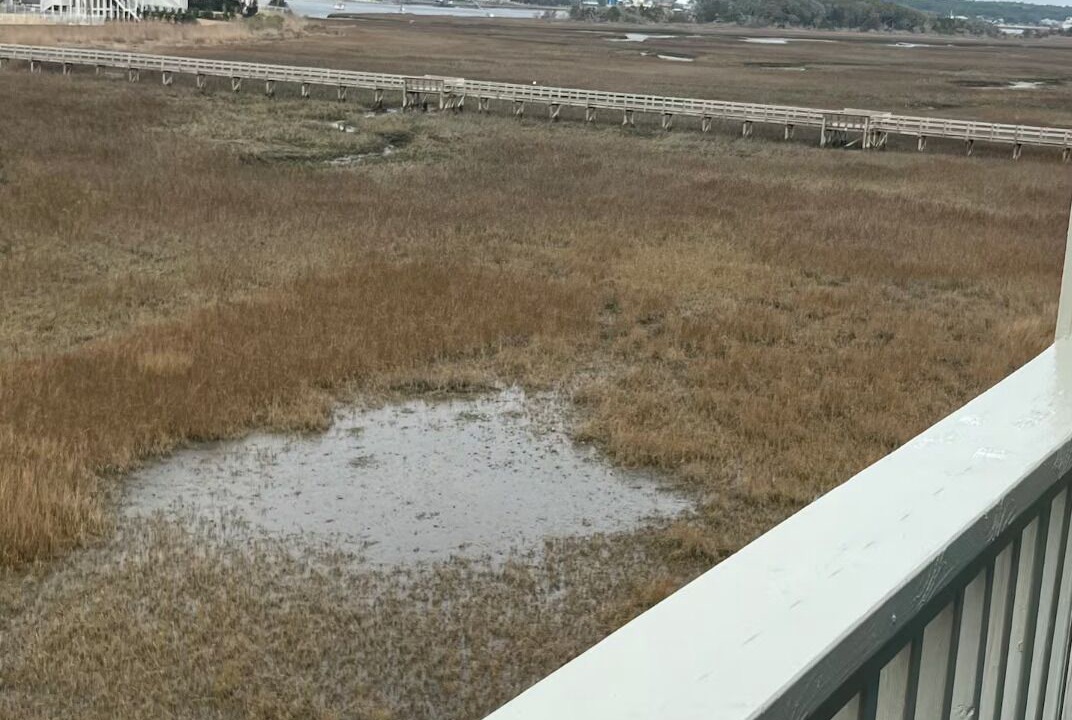 Photo of Outdoor in North Carolina Coast