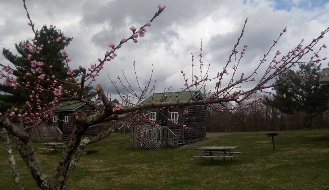 Photo of Outdoor in Fancy Gap