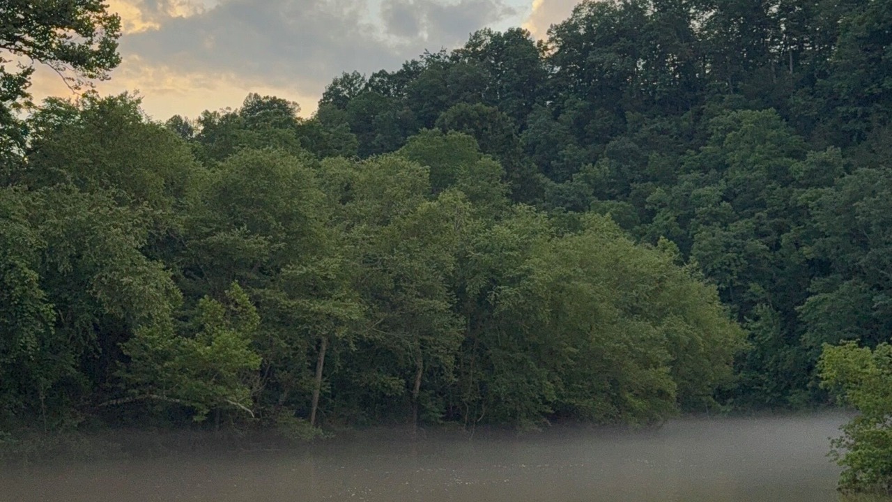 Photo of Others in Byrdstown