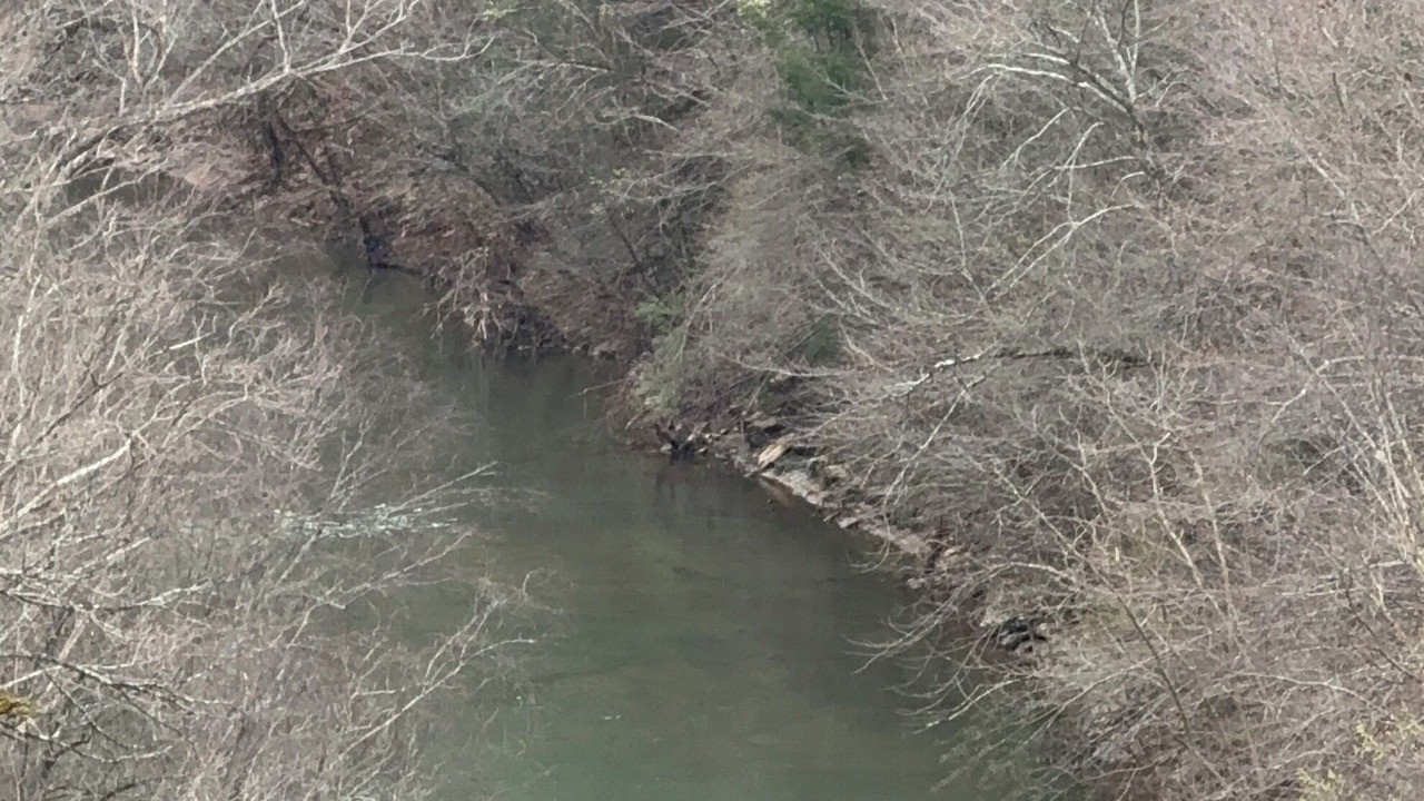 Photo of Others in Byrdstown