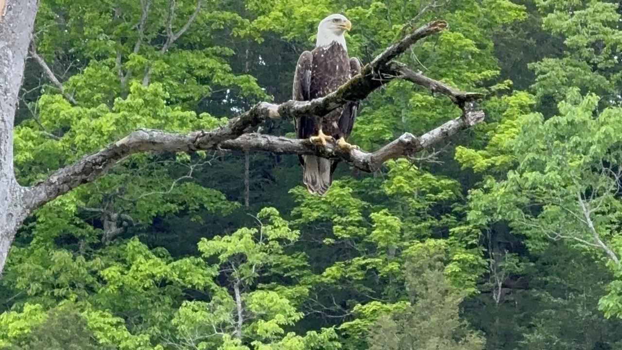 Photo of Others in Byrdstown