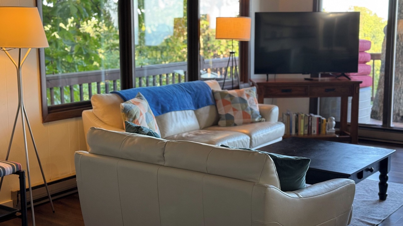 Photo of Livingroom in Dan River