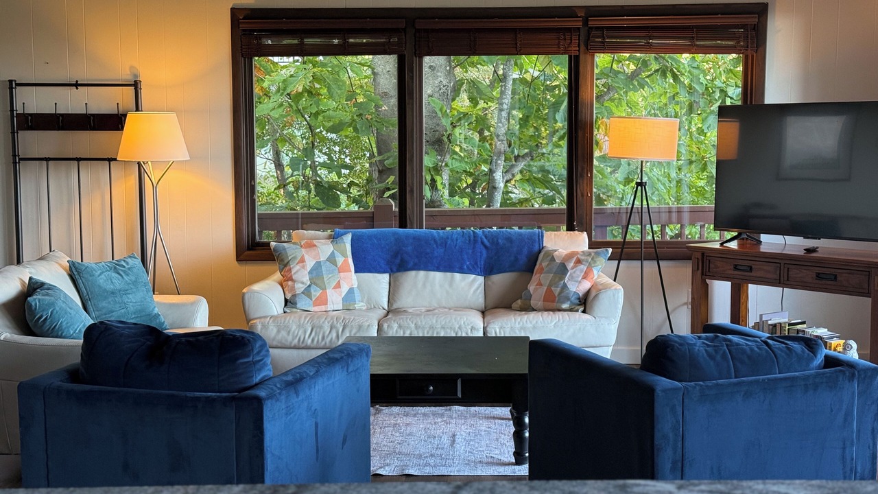 Photo of Livingroom in Dan River