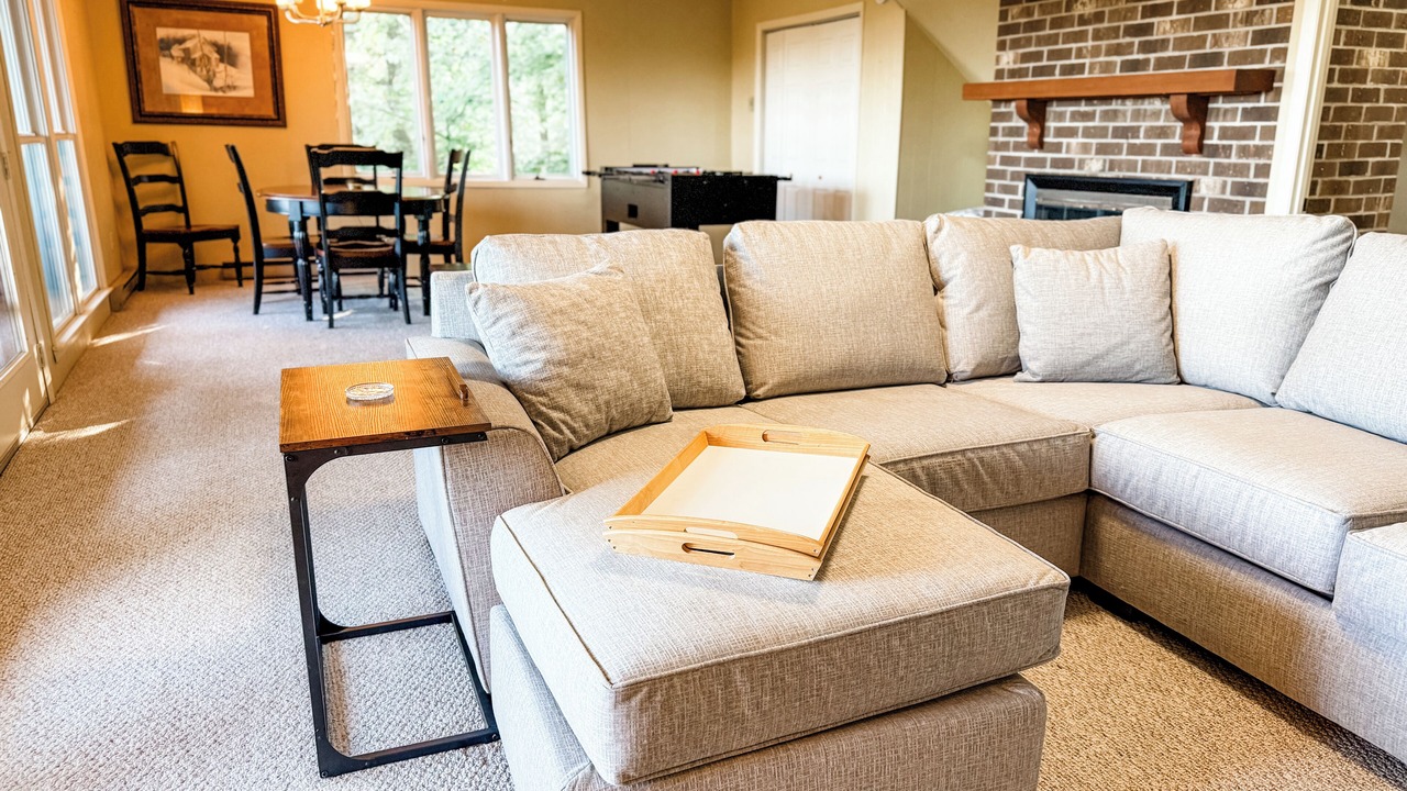Photo of Livingroom in Dan River