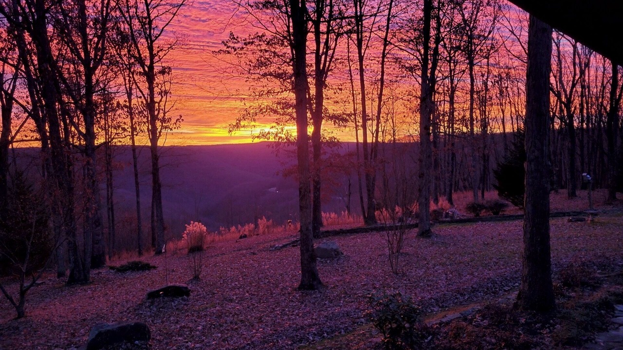 Photo of Others in Monteagle