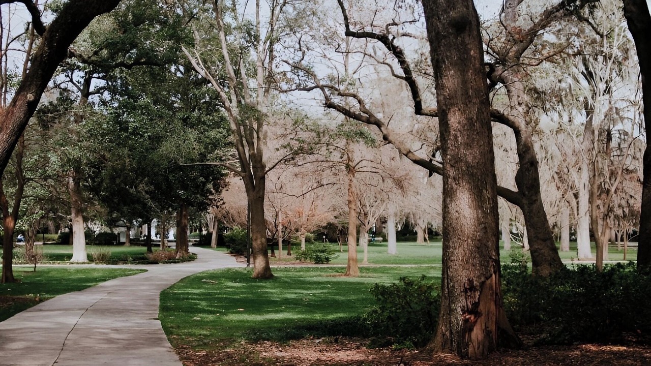Photo of Others in Danville