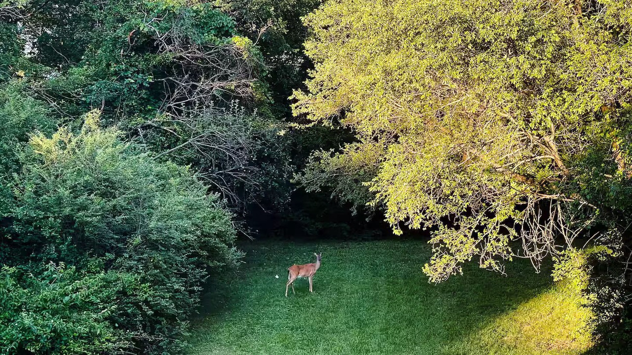 Photo of Others in Roanoke