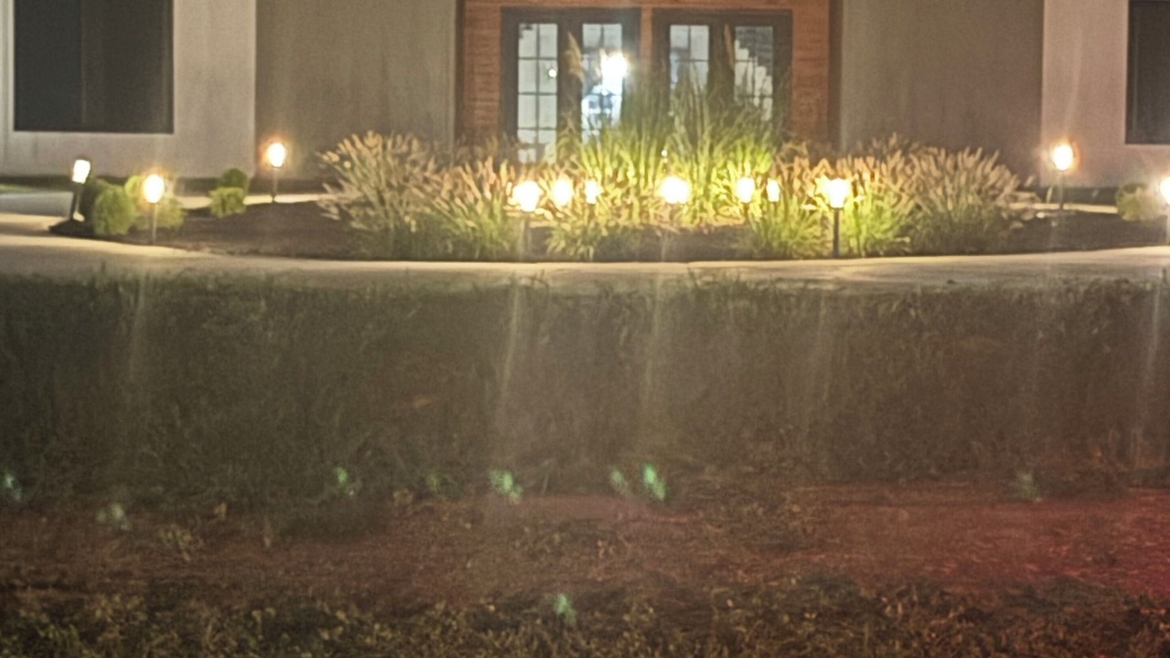 Photo of Outdoor in Belfast