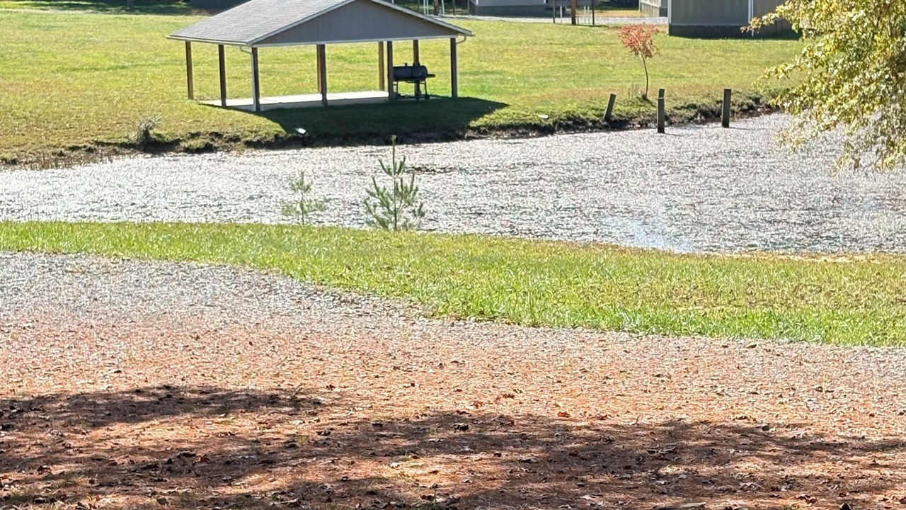 Photo of Outdoor in Jumping Branch
