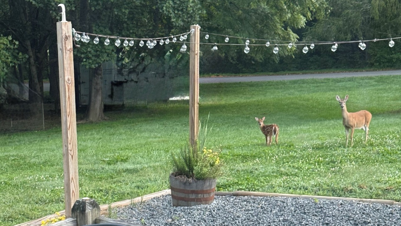 Photo of Outdoor in Mills River