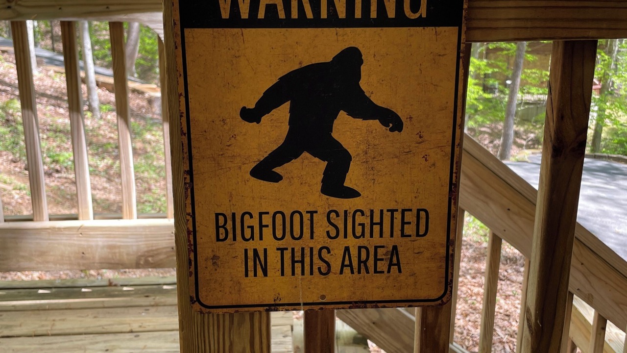 Photo of Outdoor in Lucas