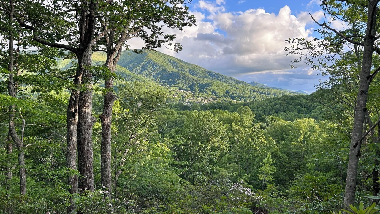 Photo of Others in Waynesville