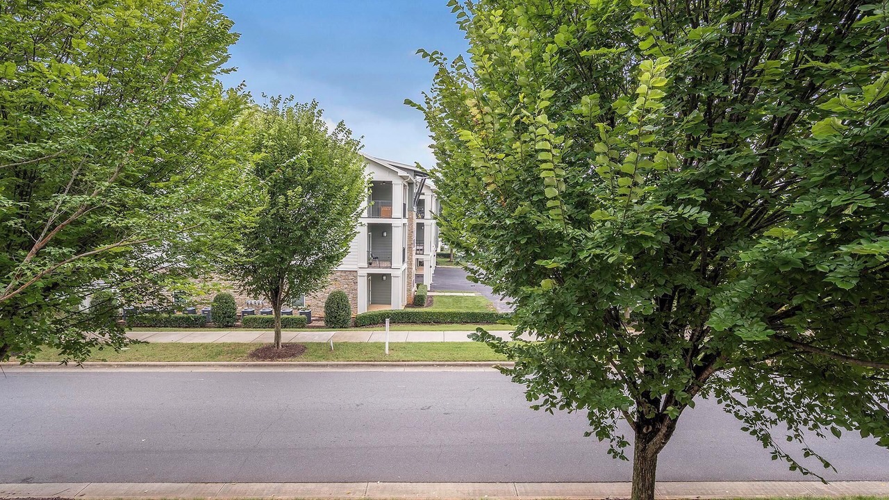 Photo of Outdoor in Paw Creek