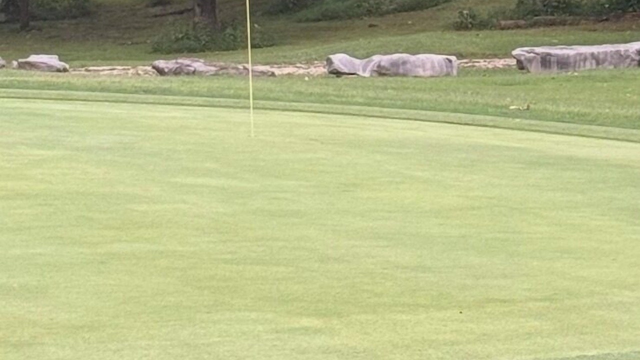 Photo of Others in Bronston