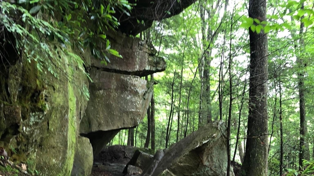 Photo of Others in Sloans Valley