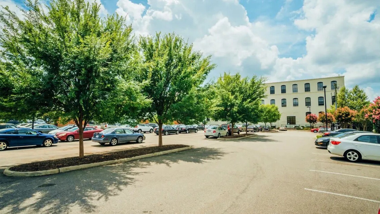 Photo of Outdoor in Petersburg