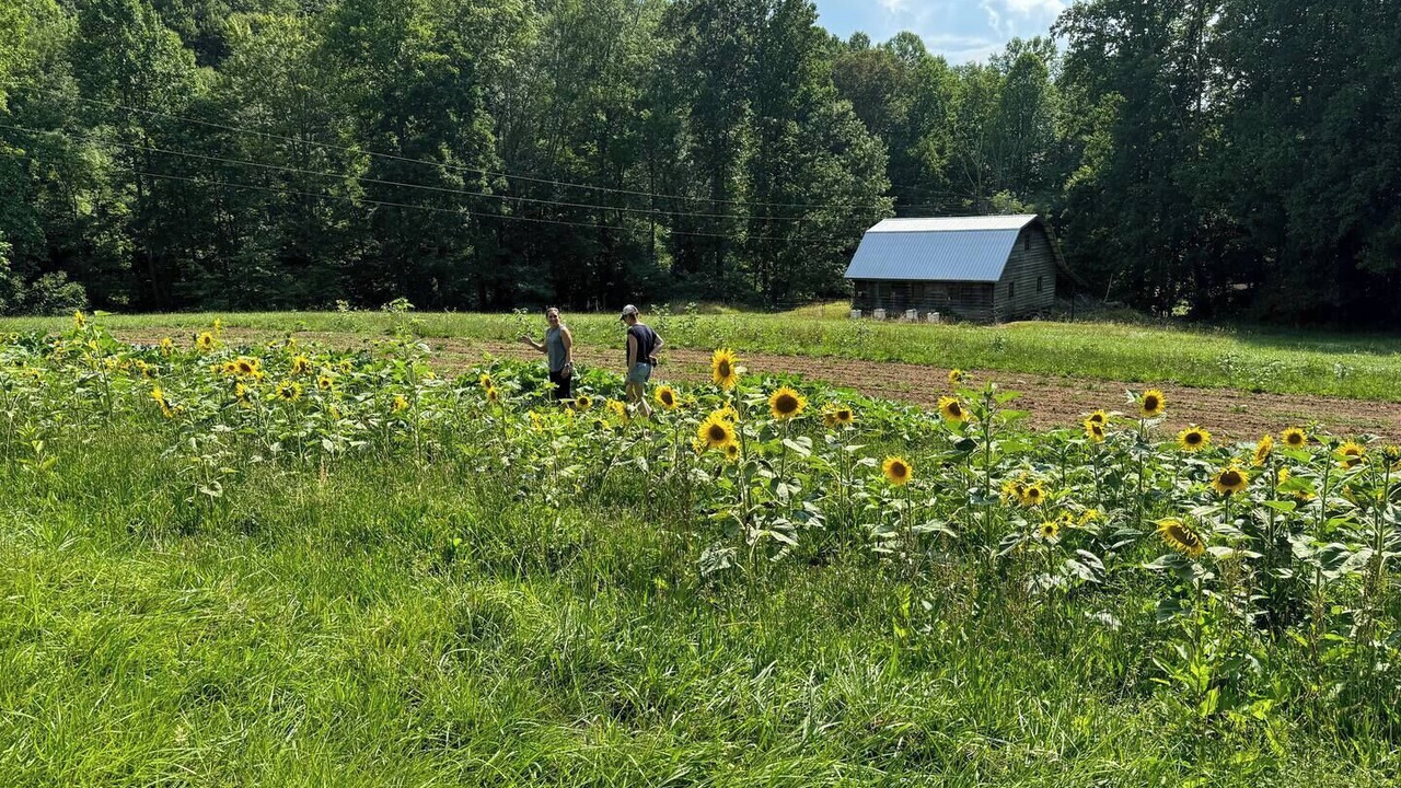 Photo of Others in Franklin