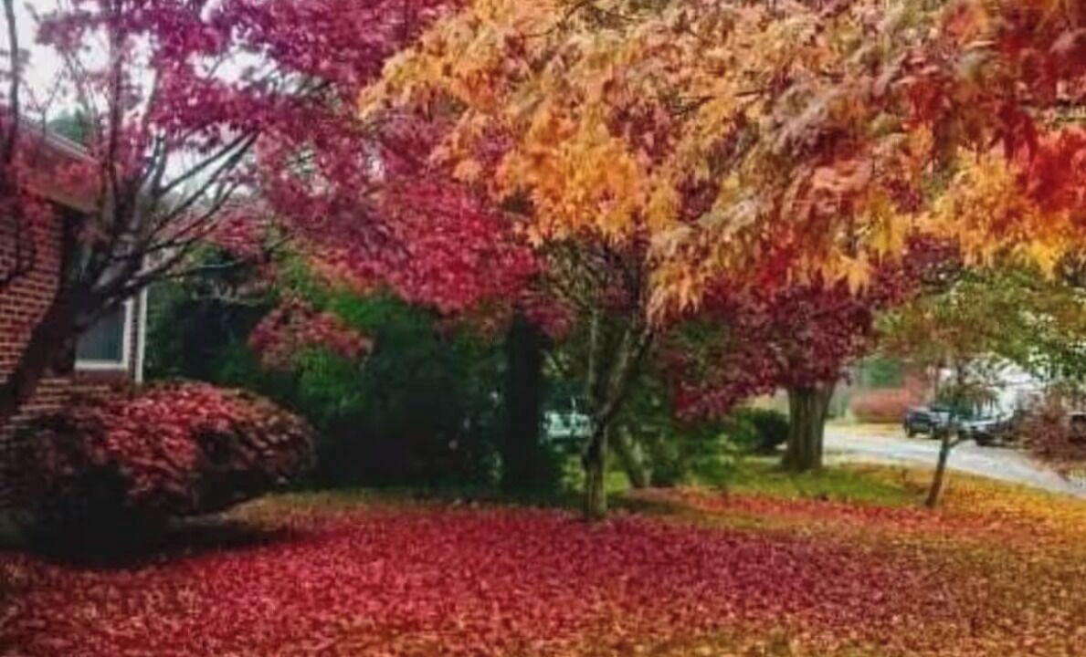 Photo of Outdoor in Radford