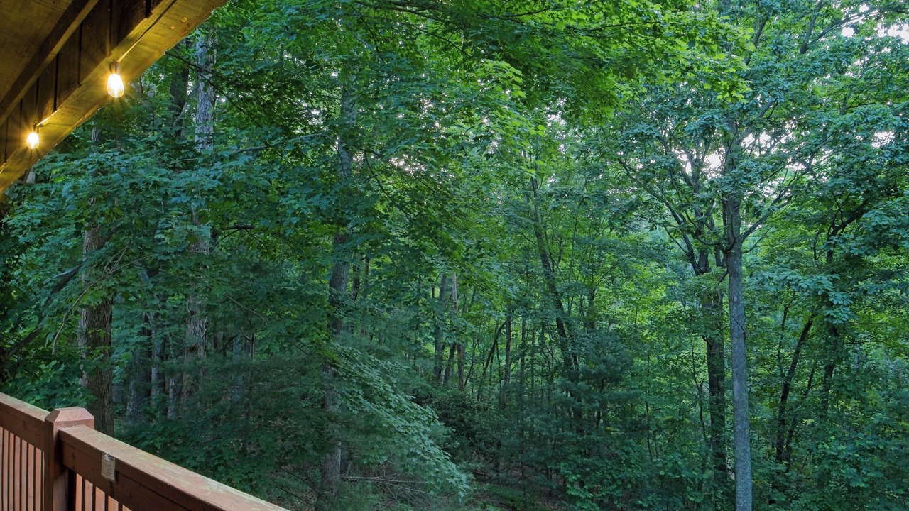 Photo of Others in Asheville