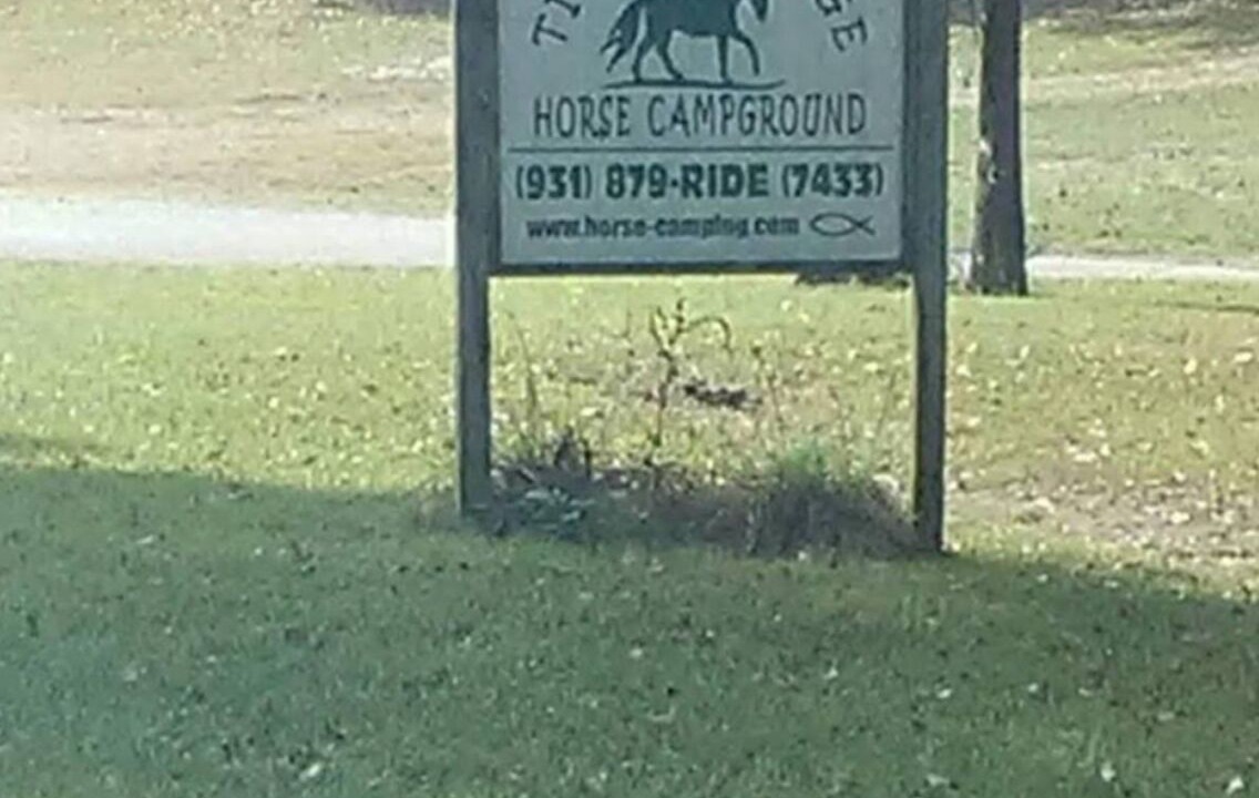 Photo of Others in Jamestown