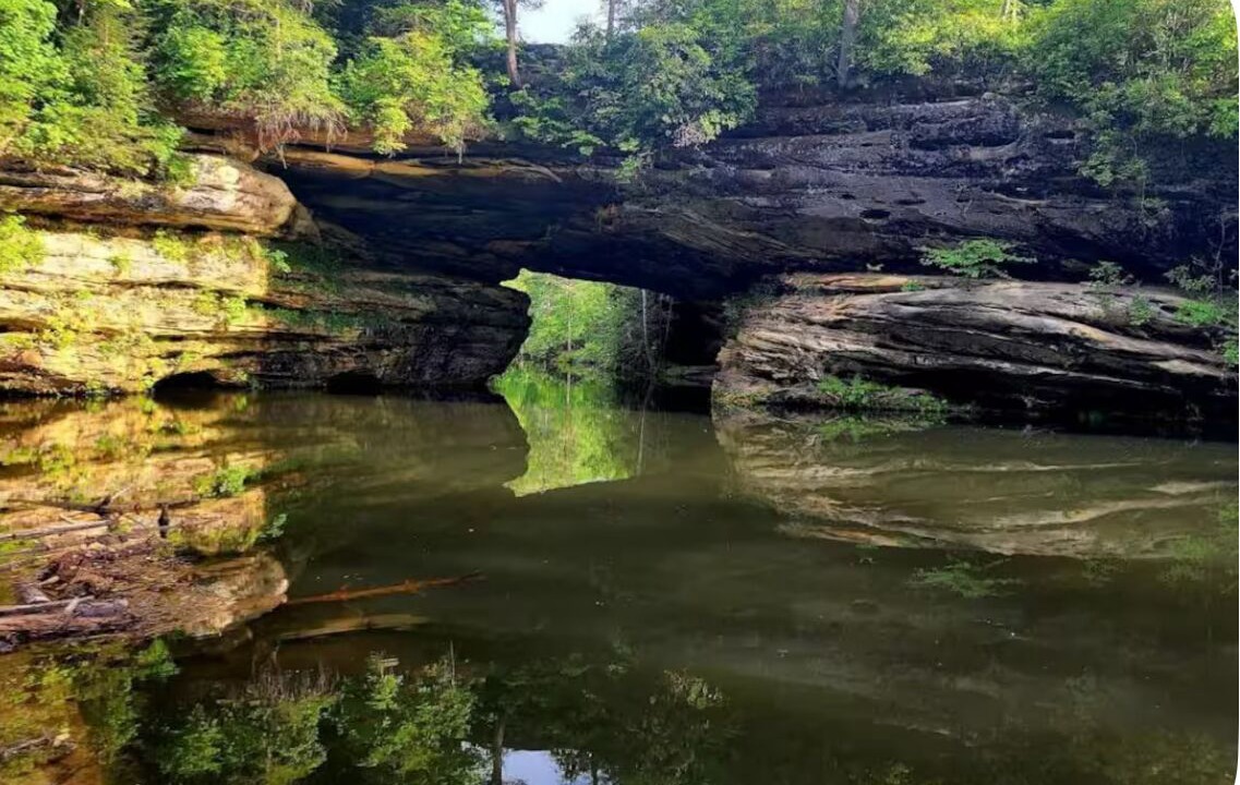 Photo of Others in Jamestown