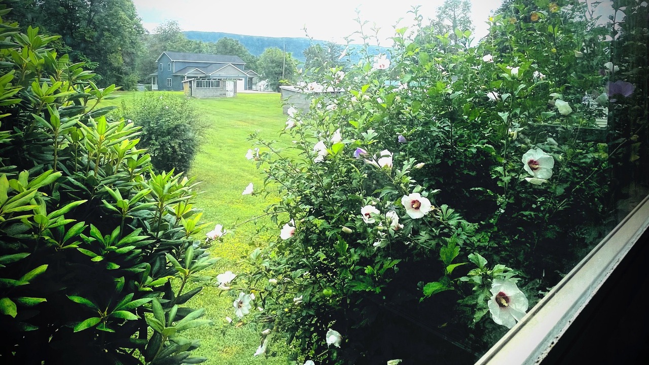 Photo of Outdoor in Edinburg