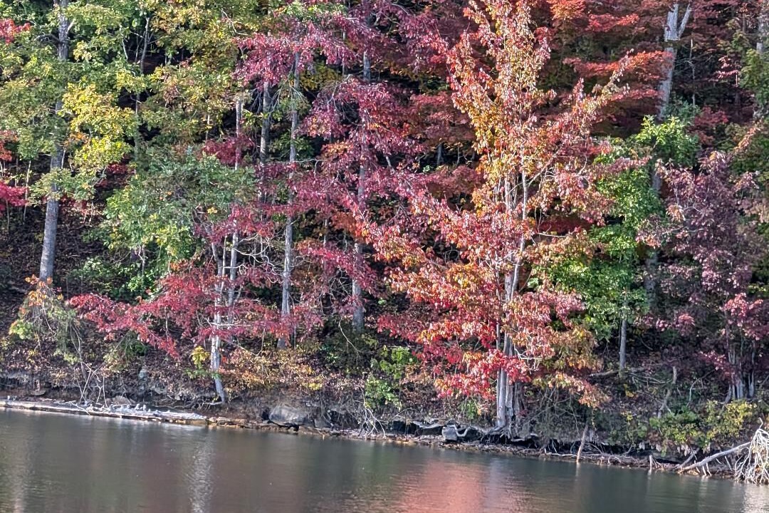 Photo of Others in East Bernstadt