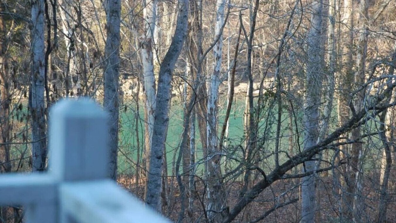 Photo of Others in Jamestown