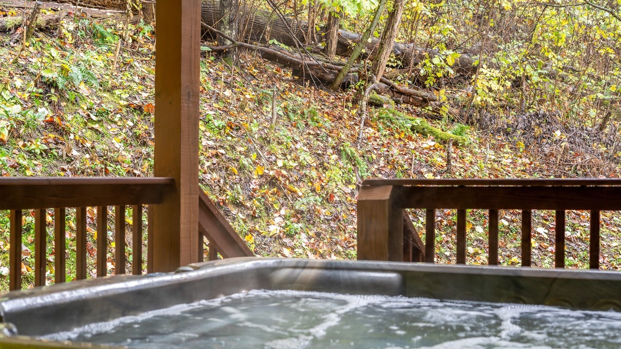 Photo of Outdoor in Smoky Mountains